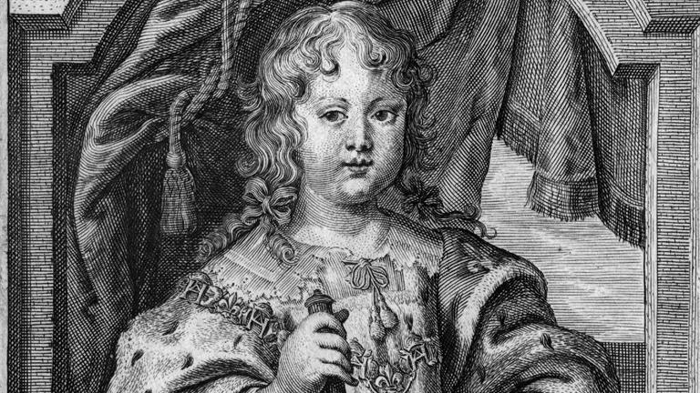 Louis XIV - King - www.waterandnature.org