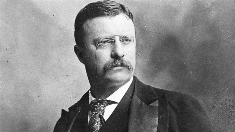 Theodore Roosevelt picture